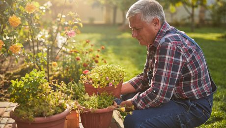 Activities and Outings You're Looking For in Senior Living Homes